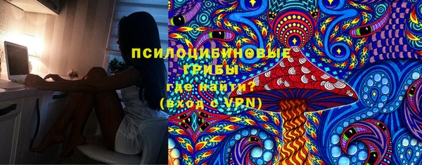 PSILOCYBIN Лихославль