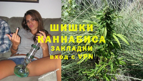 PSILOCYBIN Лихославль