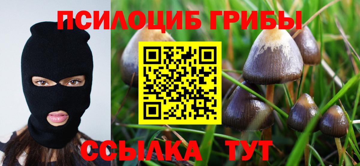 Галлюциногенные грибы GOLDEN TEACHER Тюмень